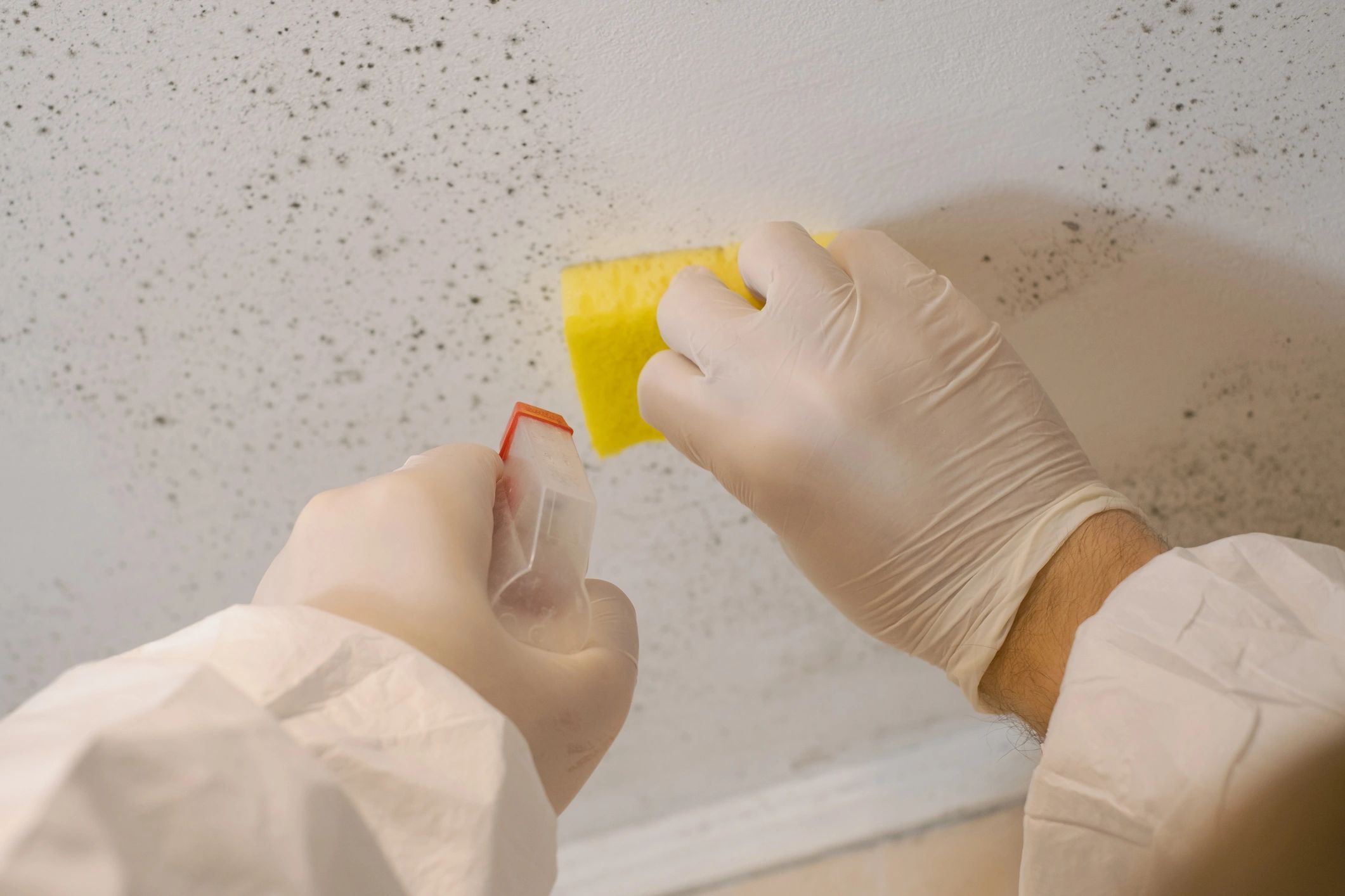 Certified RestoPros technician cleaning wall