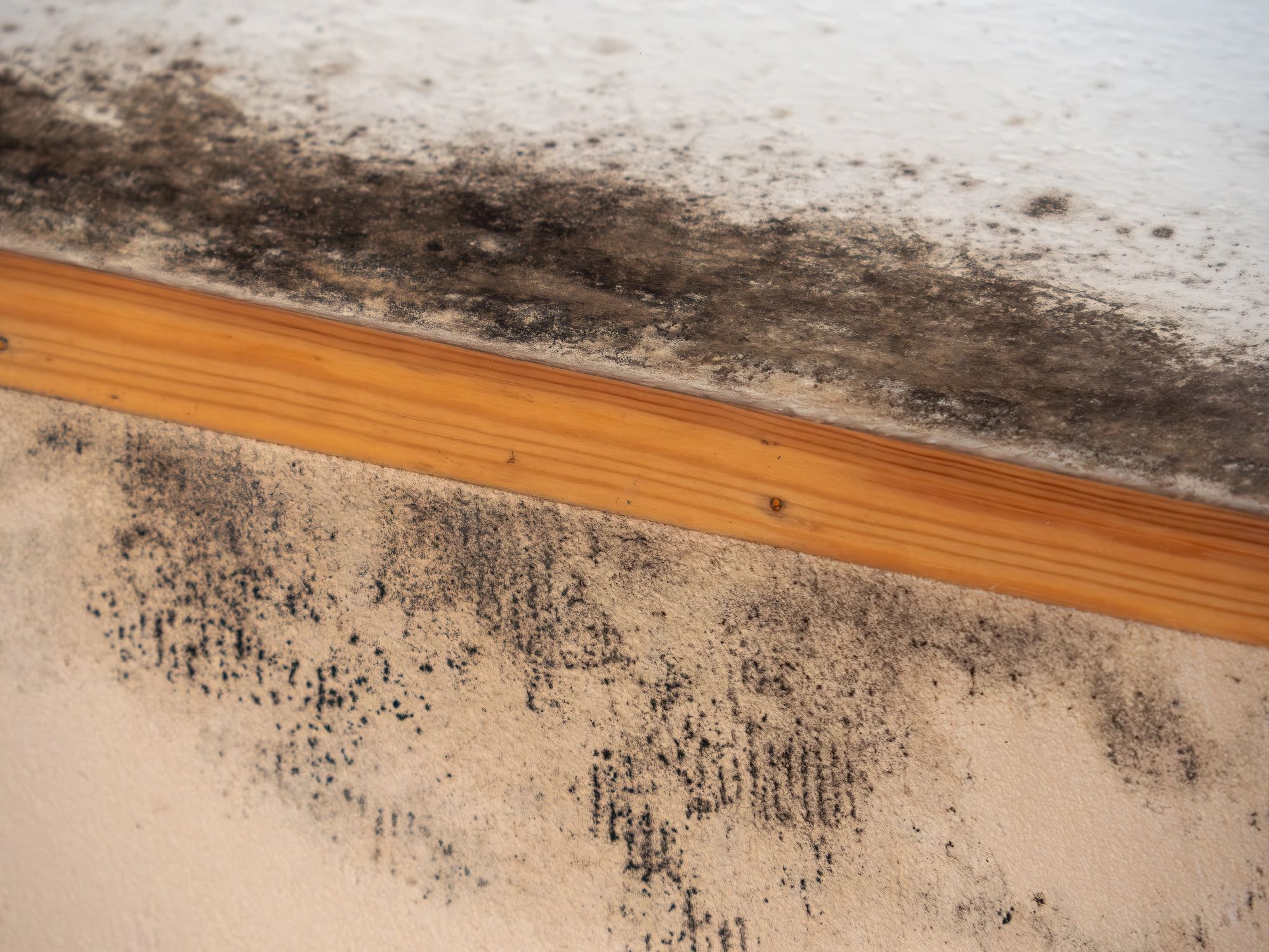 Mold remediation Services Houston showing discoloration on walls and ceiling