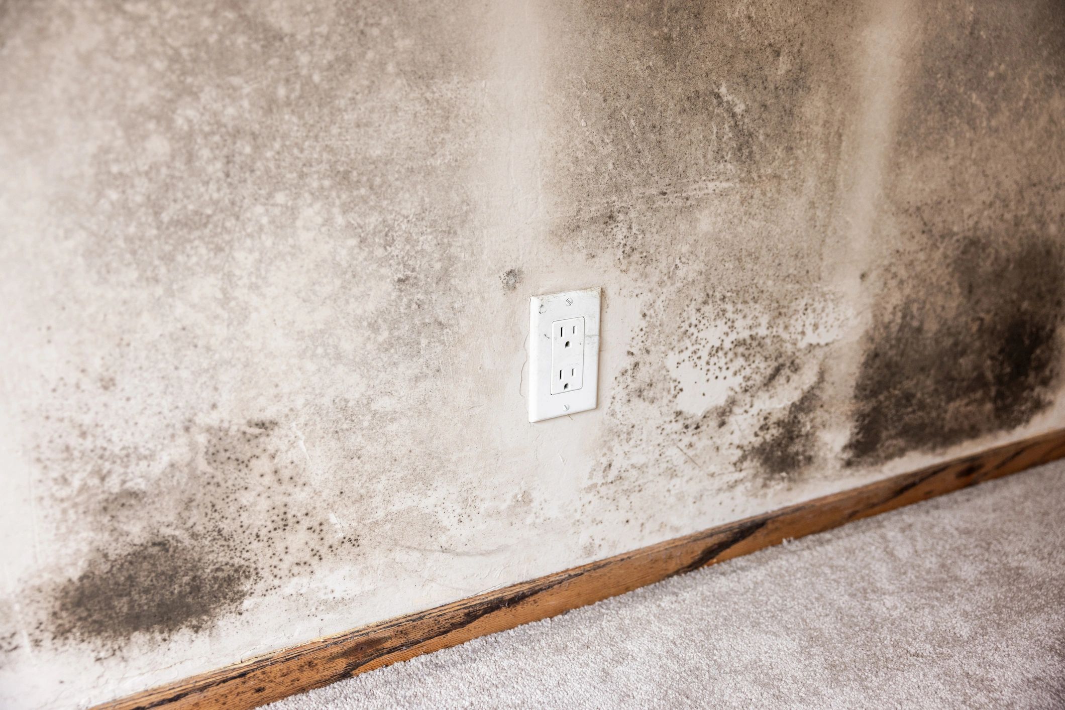 Mold remediation in West Houston on affected wall