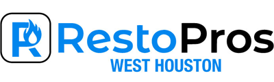 Expert Mold Remediation Services in West Houston