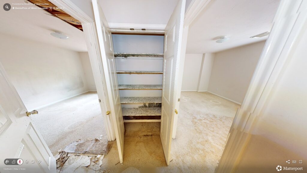 Closet and rooms infested with toxic mold