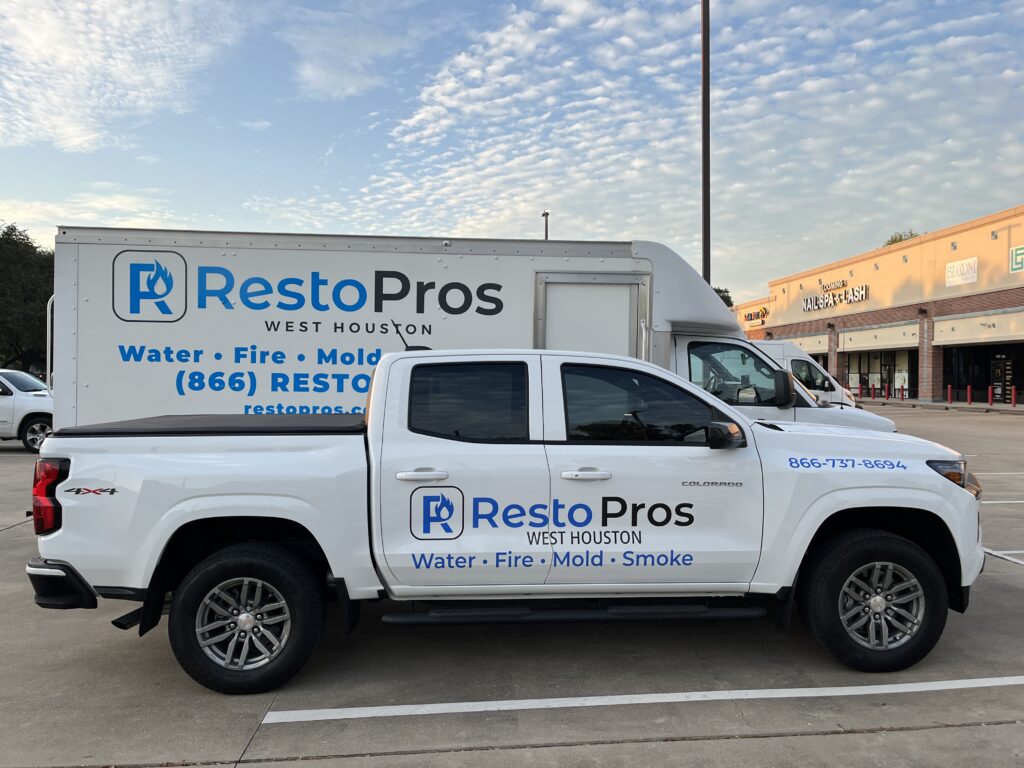 Mold Remediation Services Houston