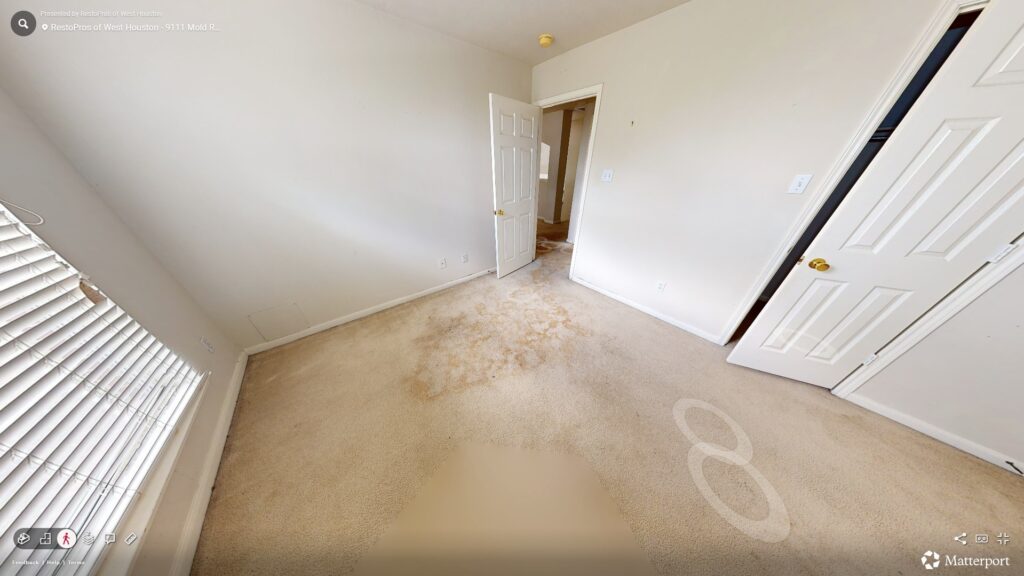 Walls and floors with toxic mold beyond repair